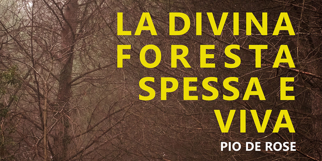 La-Divina-Foresta-Spessa-e-Viva—Pio-De-Rose—Ravenna-25-giugno—18-luglio